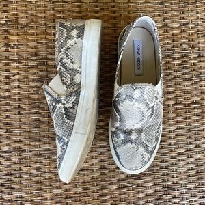 Steve Madden sneakers